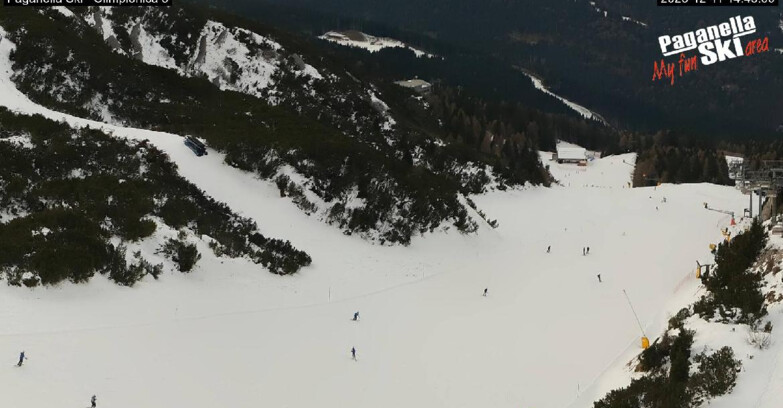 Webcam Paganella Ski – Andalo – Fai della Paganella - Pista Olimpionica 3