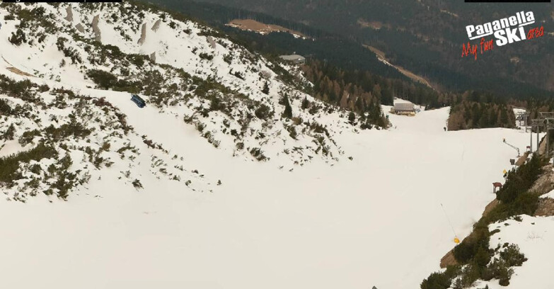 Webcam Paganella Ski – Andalo – Fai della Paganella - Pista Olimpionica 3