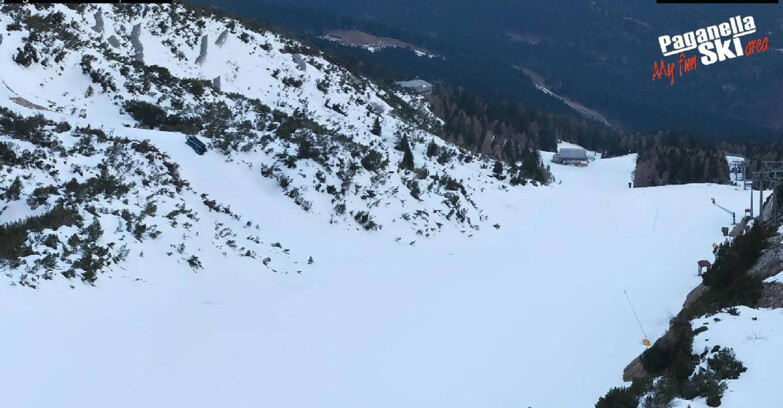 Webcam Paganella Ski – Andalo – Fai della Paganella - Pista Olimpionica 3