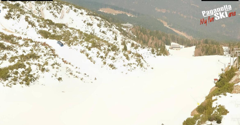 Webcam Paganella Ski – Andalo – Fai della Paganella - Pista Olimpionica 3