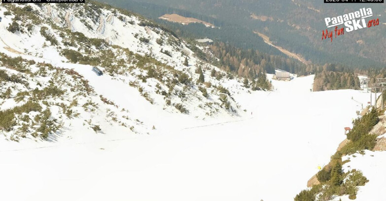 Webcam Paganella Ski – Andalo – Fai della Paganella - Pista Olimpionica 3