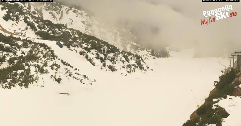 Webcam Paganella Ski – Andalo – Fai della Paganella - Pista Olimpionica 3