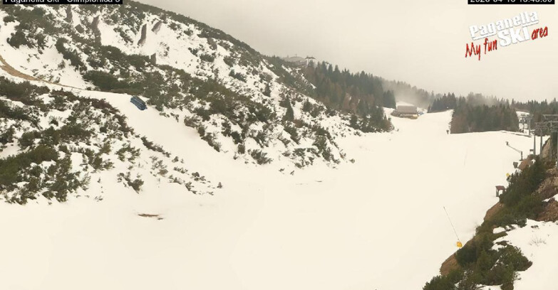 Webcam Paganella Ski – Andalo – Fai della Paganella - Pista Olimpionica 3