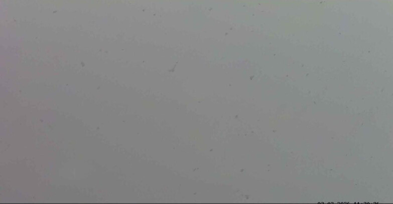 Webcam Passo San Pellegrino-Falcade - Pelmo e Civetta