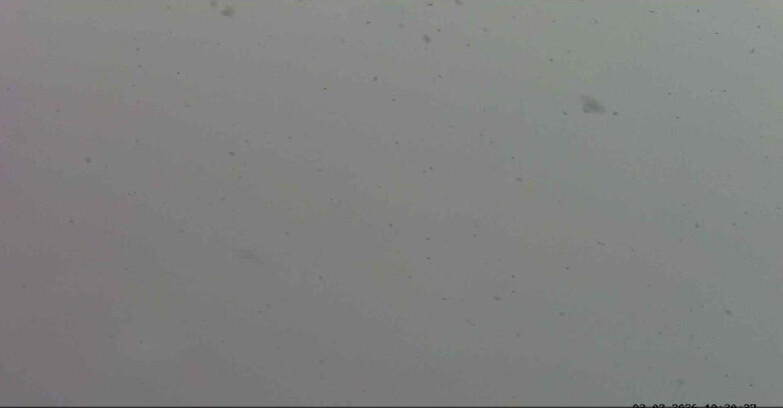 Webcam Passo San Pellegrino-Falcade - Pelmo