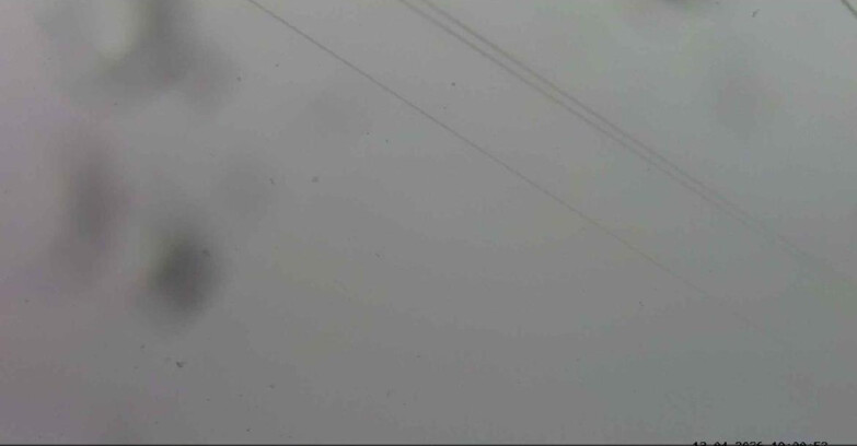 Webcam Passo San Pellegrino-Falcade  - Passo San Pellegrino