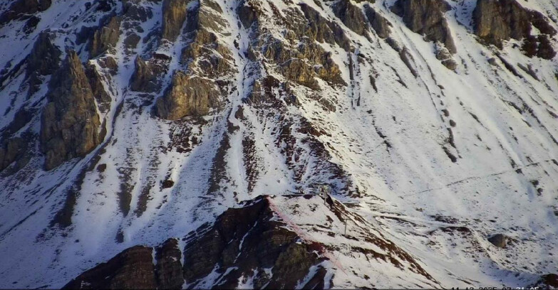 Webcam Passo San Pellegrino-Falcade - Seggiovia Cima Uomo