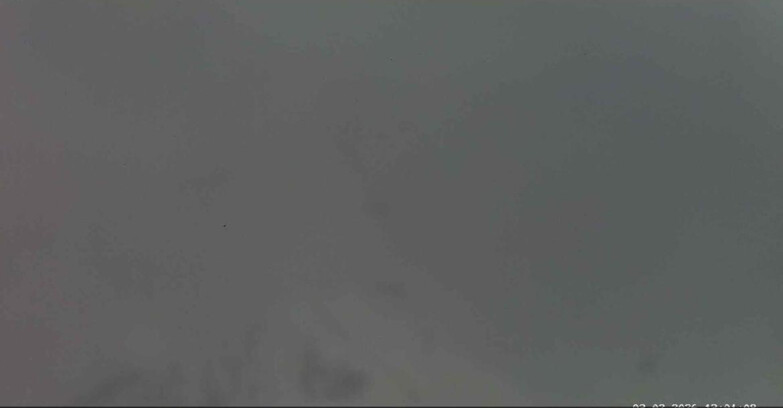 Webcam Passo San Pellegrino-Falcade - Seggiovia Cima Uomo