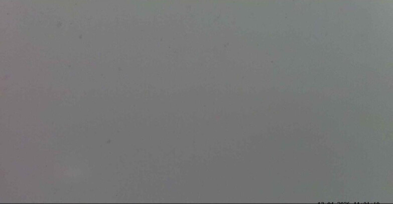 Webcam Passo San Pellegrino-Falcade - Seggiovia Cima Uomo