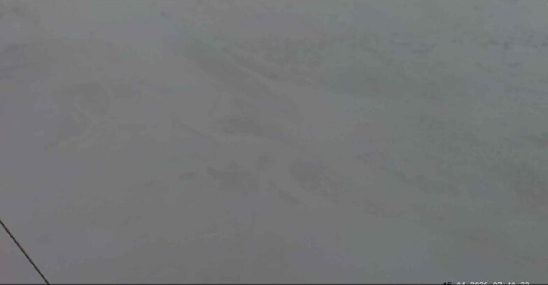 Webcam Пассо Сан-Пеллегрино-Фалькаде  - Costabella - Cima Uomo