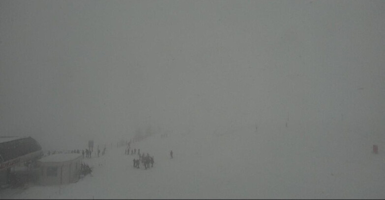 Webcam Bellamonte-Alpe Lusia  - Bellamonte Alpe Lusia - Le Cune