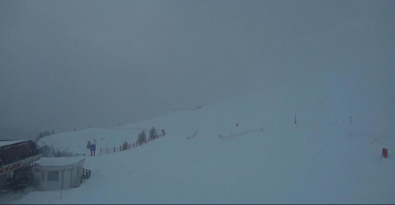 Webcam Bellamonte-Alpe Lusia - Bellamonte Alpe Lusia - Le Cune