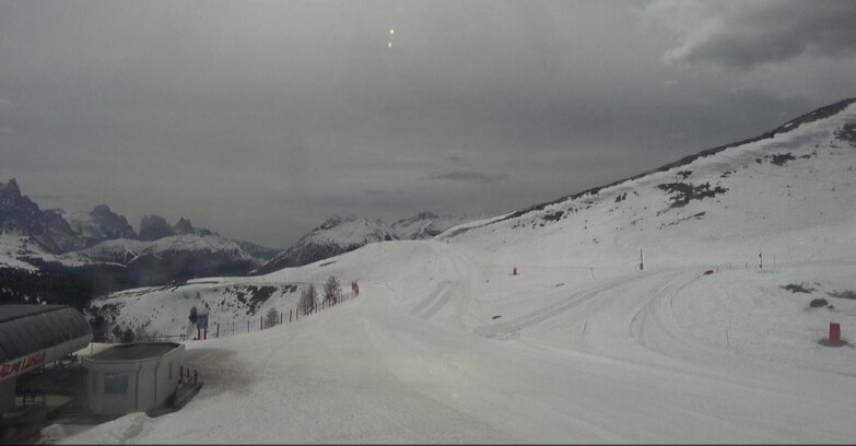 Webcam Bellamonte-Alpe Lusia  - Bellamonte Alpe Lusia - Le Cune
