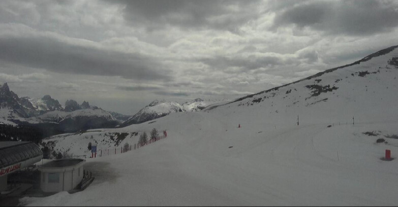 Webcam Bellamonte-Alpe Lusia  - Bellamonte Alpe Lusia - Le Cune