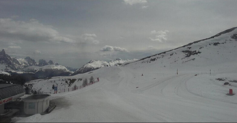 Webcam Bellamonte-Alpe Lusia  - Bellamonte Alpe Lusia - Le Cune