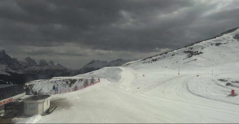 Webcam Bellamonte-Alpe Lusia  - Bellamonte Alpe Lusia - Le Cune