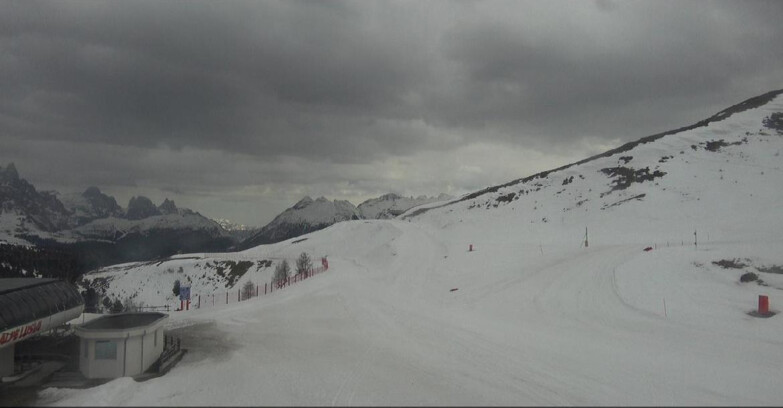 Webcam Bellamonte-Alpe Lusia  - Bellamonte Alpe Lusia - Le Cune