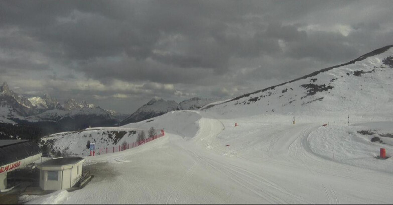 Webcam Bellamonte-Alpe Lusia  - Bellamonte Alpe Lusia - Le Cune