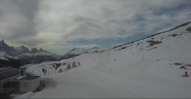 Webcam Bellamonte-Alpe Lusia - Bellamonte Alpe Lusia - Le Cune