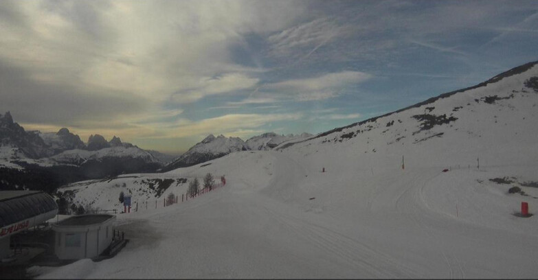 Webcam Bellamonte-Alpe Lusia - Bellamonte Alpe Lusia - Le Cune
