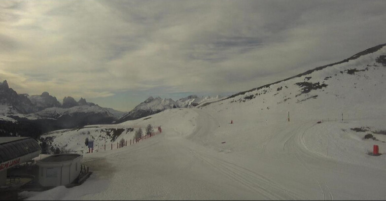 Webcam Bellamonte-Alpe Lusia - Bellamonte Alpe Lusia - Le Cune