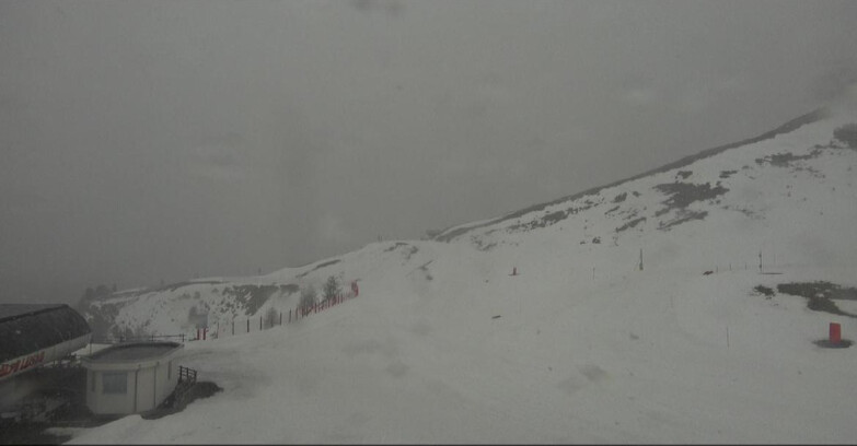 Webcam Bellamonte-Alpe Lusia - Bellamonte Alpe Lusia - Le Cune