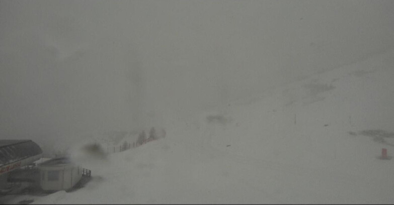 Webcam Bellamonte-Alpe Lusia - Bellamonte Alpe Lusia - Le Cune