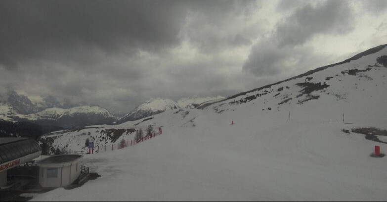 Webcam Bellamonte-Alpe Lusia - Bellamonte Alpe Lusia - Le Cune