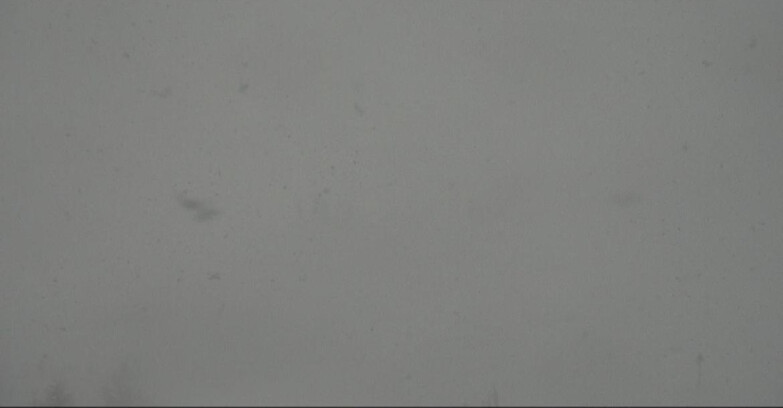 Webcam Moena-Alpe Lusia  - Arrivo seggiovia Campo-Cune