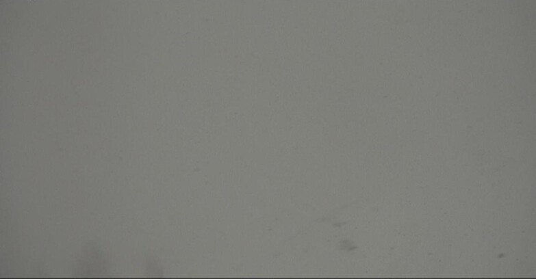 Webcam Моэна-Альпе-Лузия - Arrivo seggiovia Campo-Cune