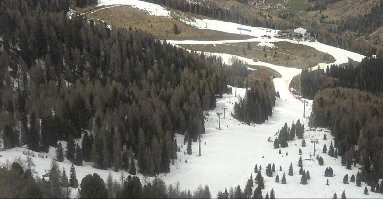 Webcam Moena-Alpe Lusia  - Pista Piavac