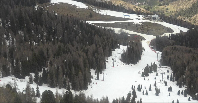 Webcam Moena-Alpe Lusia  - Pista Piavac