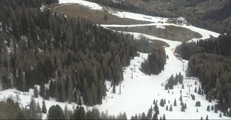 Webcam Moena-Alpe Lusia  - Pista Piavac