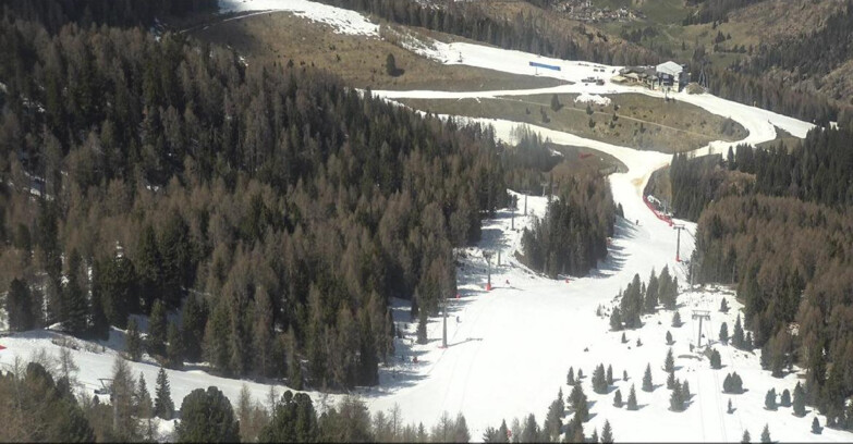 Webcam Moena-Alpe Lusia  - Pista Piavac