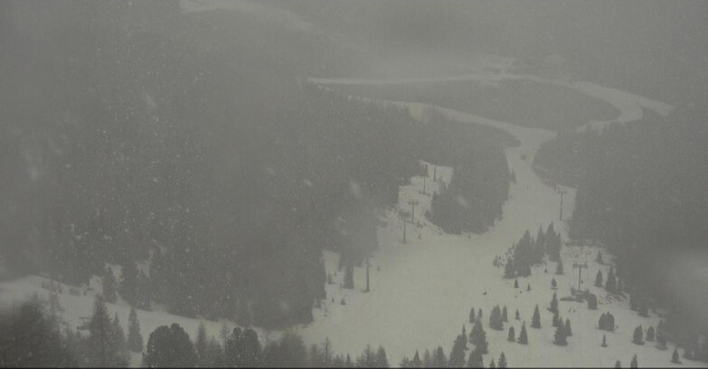 Webcam Moena-Alpe Lusia  - Pista Piavac