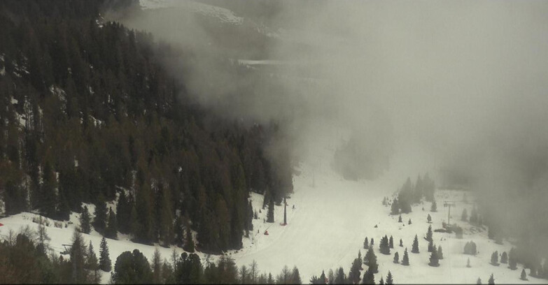 Webcam Moena-Alpe Lusia  - Pista Piavac