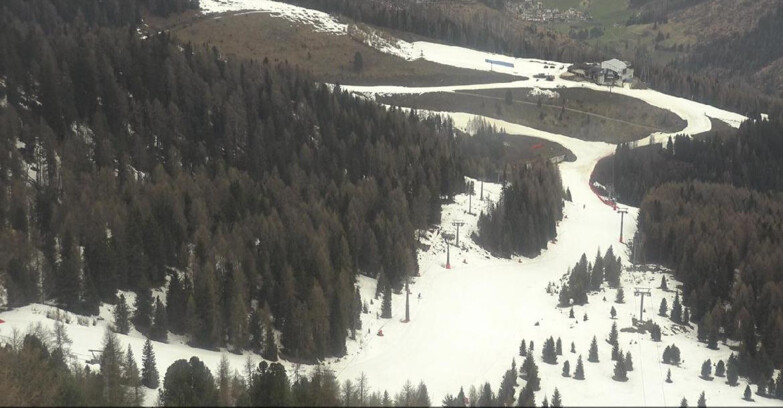 Webcam Moena-Alpe Lusia  - Pista Piavac