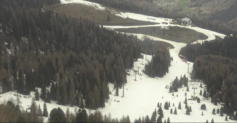 Webcam Moena-Alpe Lusia  - Pista Piavac