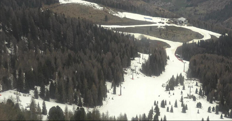 Webcam Moena-Alpe Lusia  - Pista Piavac
