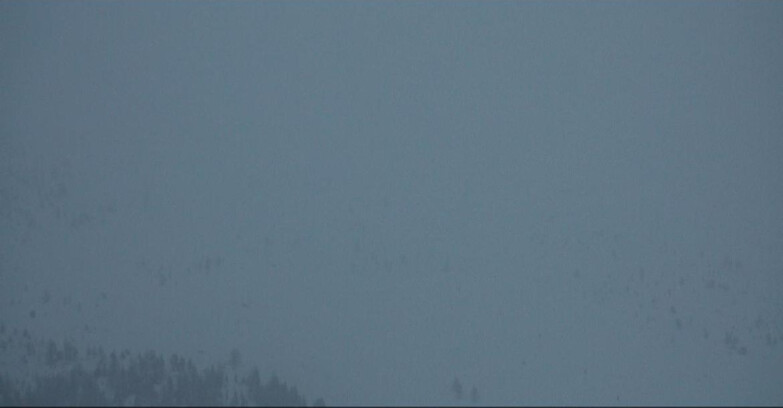 Webcam Moena-Alpe Lusia  - Campo-Laste Skilifte