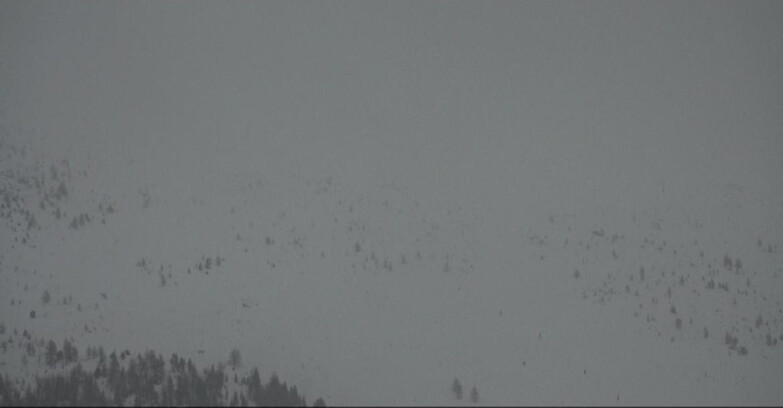 Webcam Moena-Alpe Lusia  - Campo-Laste Skilifte