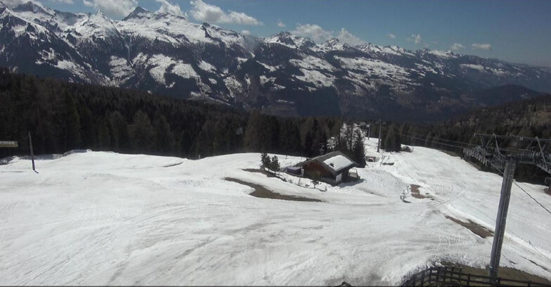 Webcam Bellamonte-Alpe Lusia - Pista Le Fassane e Morea Snowpark