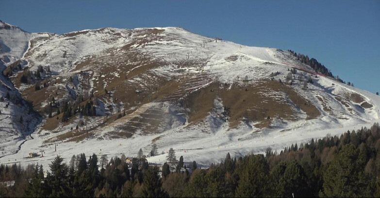 Webcam Bellamonte-Alpe Lusia  - Pista direttissima Le Cune