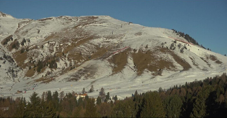Webcam Bellamonte-Alpe Lusia  - Pista direttissima Le Cune