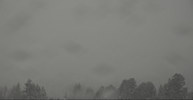 Webcam Bellamonte-Alpe Lusia - Pista direttissima Le Cune