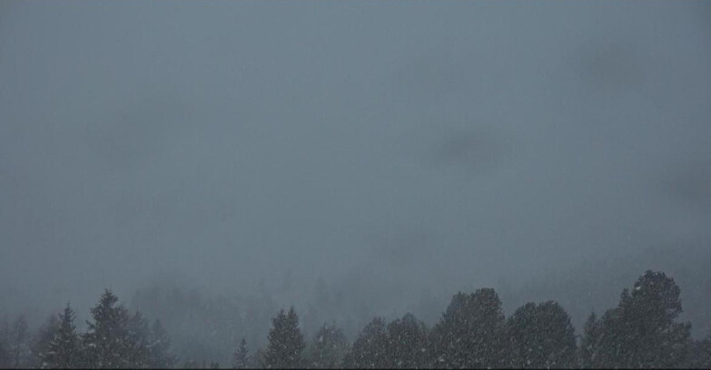 Webcam Bellamonte-Alpe Lusia  - Pista direttissima Le Cune