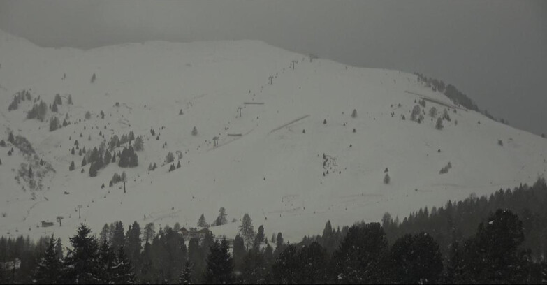 Webcam Bellamonte-Alpe Lusia - Pista direttissima Le Cune