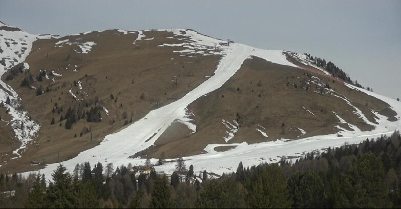 Webcam Bellamonte-Alpe Lusia - Pista direttissima Le Cune