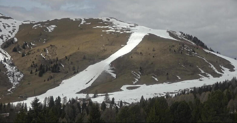 Webcam Bellamonte-Alpe Lusia - Pista direttissima Le Cune