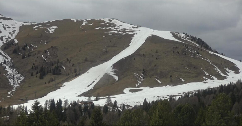 Webcam Bellamonte-Alpe Lusia - Pista direttissima Le Cune